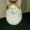 matheus_tiktok07