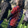 david_55358