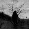 z1n.31