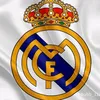 mostafa.raad8