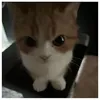 random_name0.0