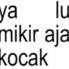 windahbidadari