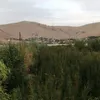 baxy_hanar