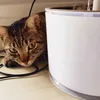koji_128