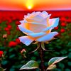 nour.imen55