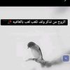 ahemed.abu.der01