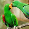 prince.abbas883