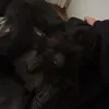 samiraaa.je