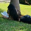 like_milanesita