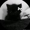 mira_7703