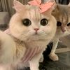 nandin_maisya27