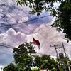 attar_256