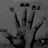 braiddris.5