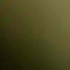 10987654321dgpon