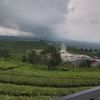 rya.manullang2