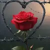 aboharb_2