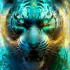 hungplay44_8888