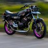 glazi990