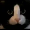 nathzz_2