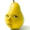 hzshkaxd
