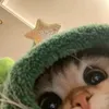 editor_of_what