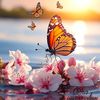 tania24227