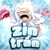 zintran24