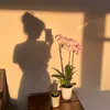 sarai_love72