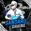sadaru_gaming_2010