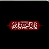 user856165861125