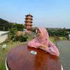nadzifa53