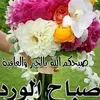 user36772663074802