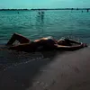 nicolebrochetta_