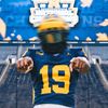 wolverinepack