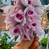 v.giang673