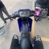 alfmannx_
