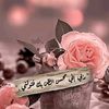 lolo.altayyar