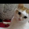 fatmaben2