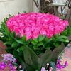 ayesha.chowdhury65