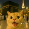 _miawwwwwwwwwwwwwww_