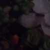 mariamgqwin