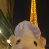 rosalia_8122