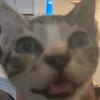 pawjober