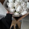 maha_6743