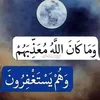 aminalamya