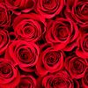 user8232118081173