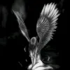 sxmmi.555