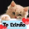 fernando.jose.ort269