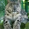 maria.das.gracas6729