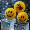 user70012244025205